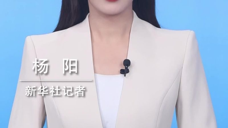 定制软件开发：揭秘成本构成与影响因素